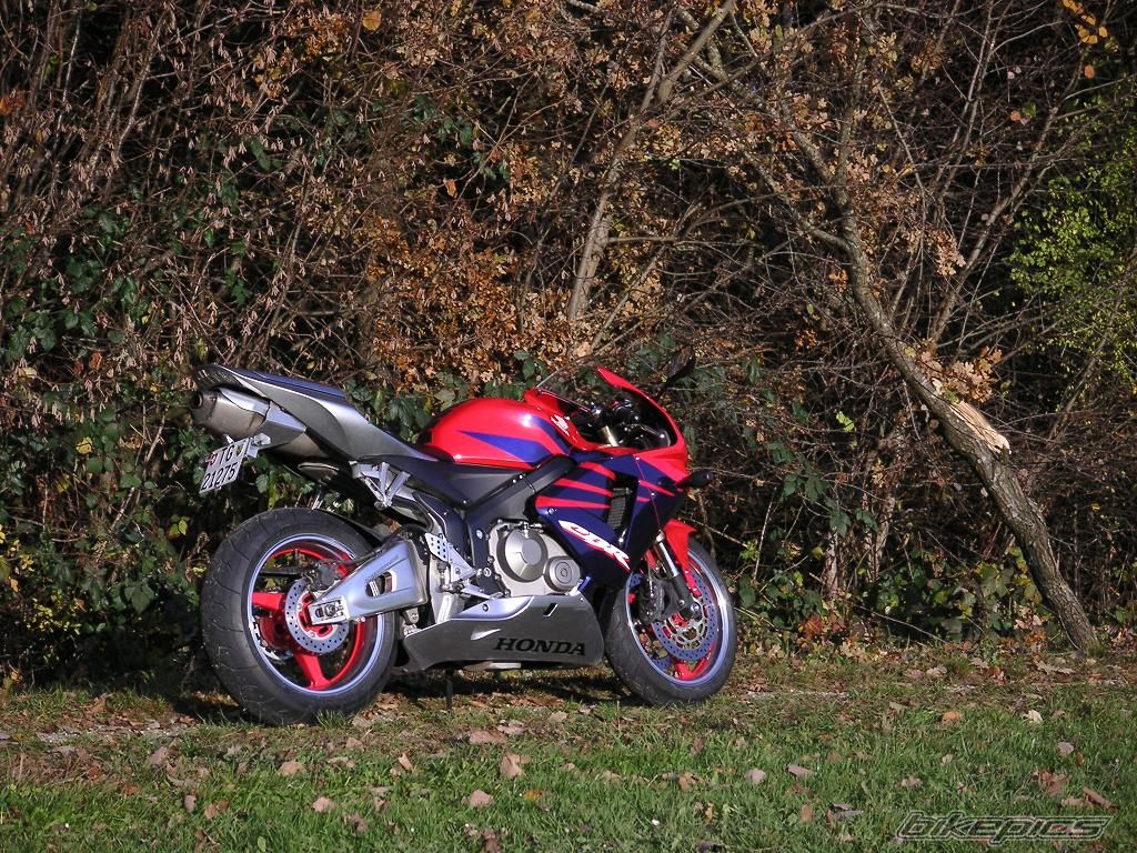 Photo 1545193
