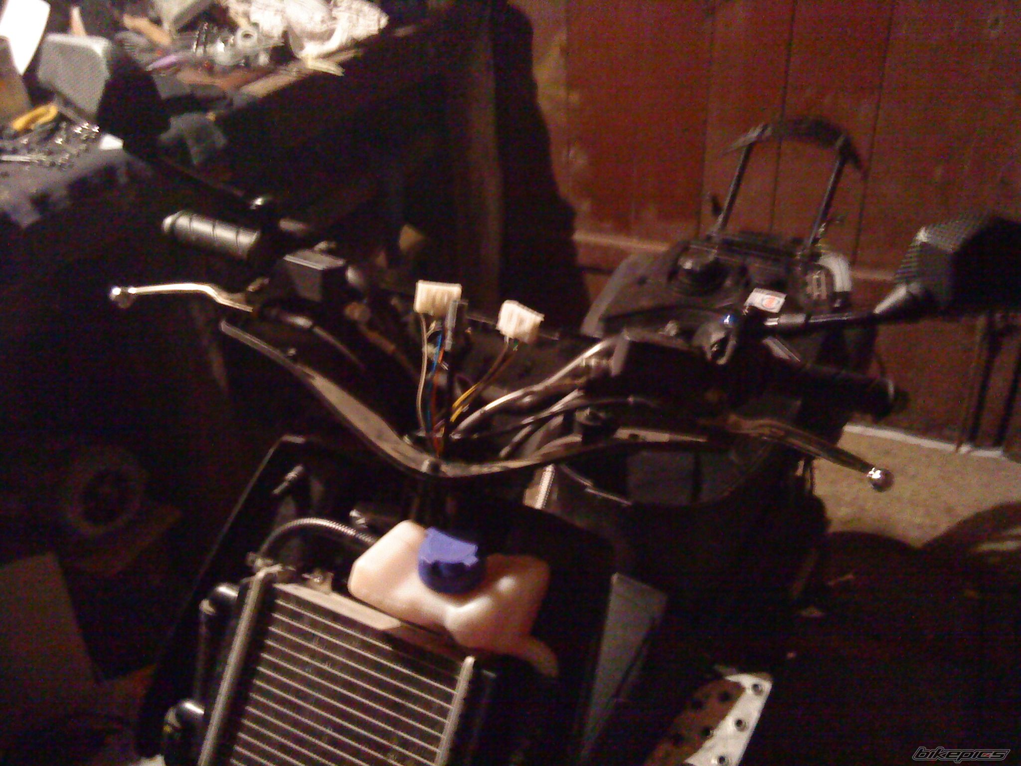 Photo 1545207
