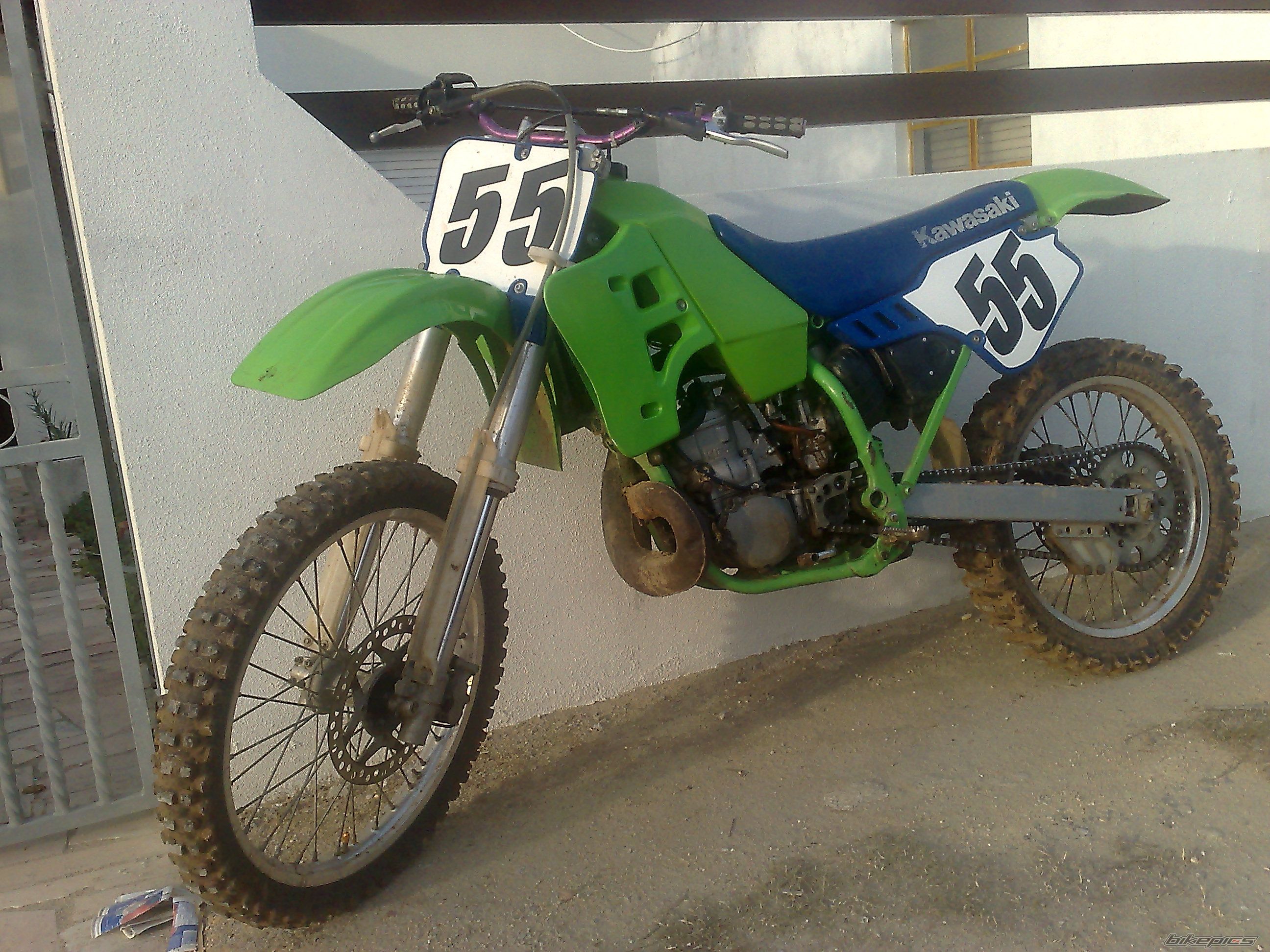 Photo 1545262