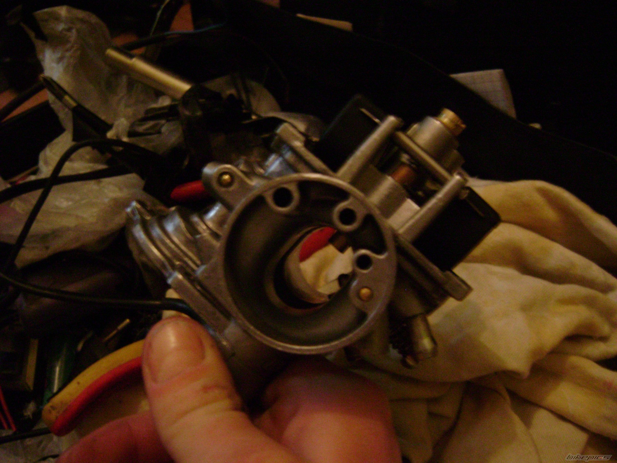 Photo 1545264