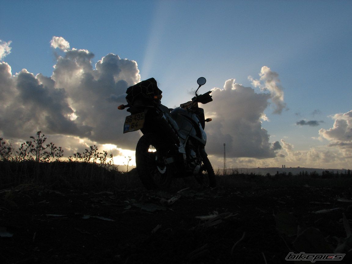 Photo 1545303