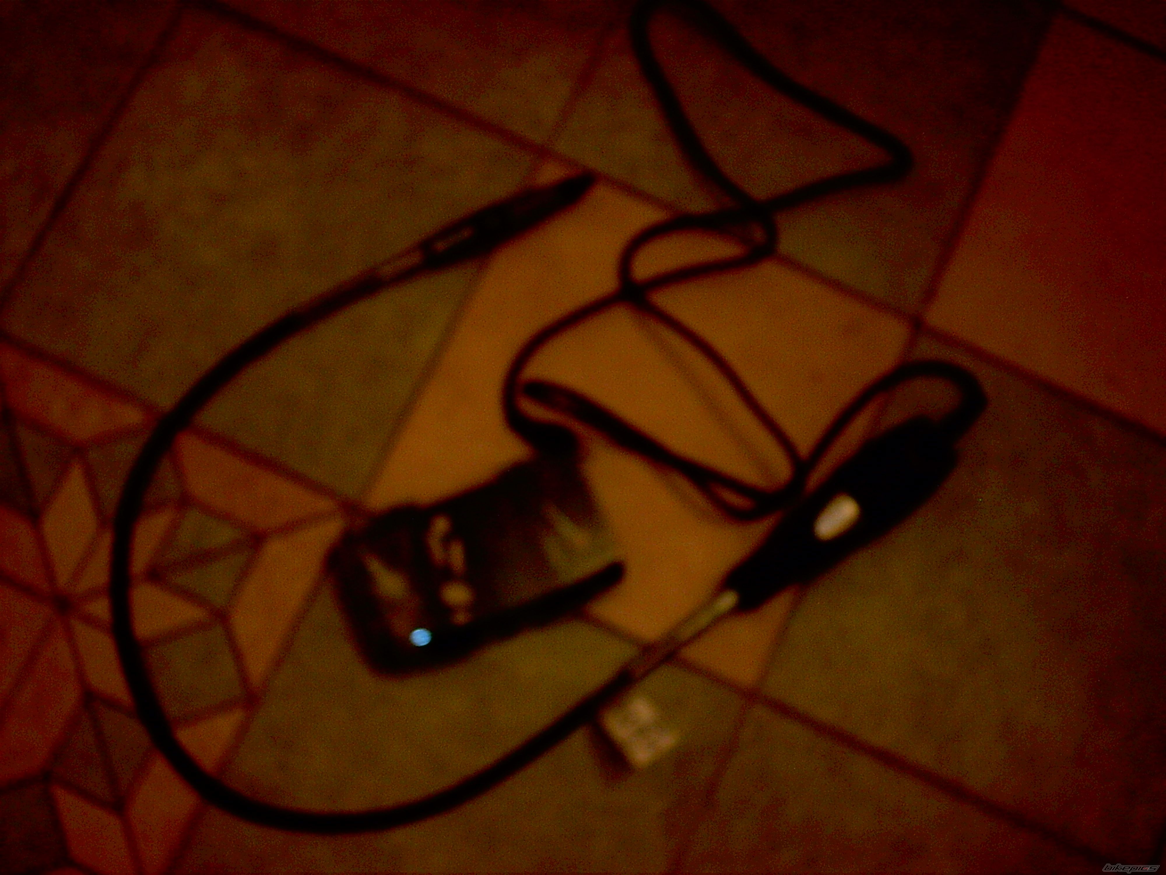 Photo 1545377