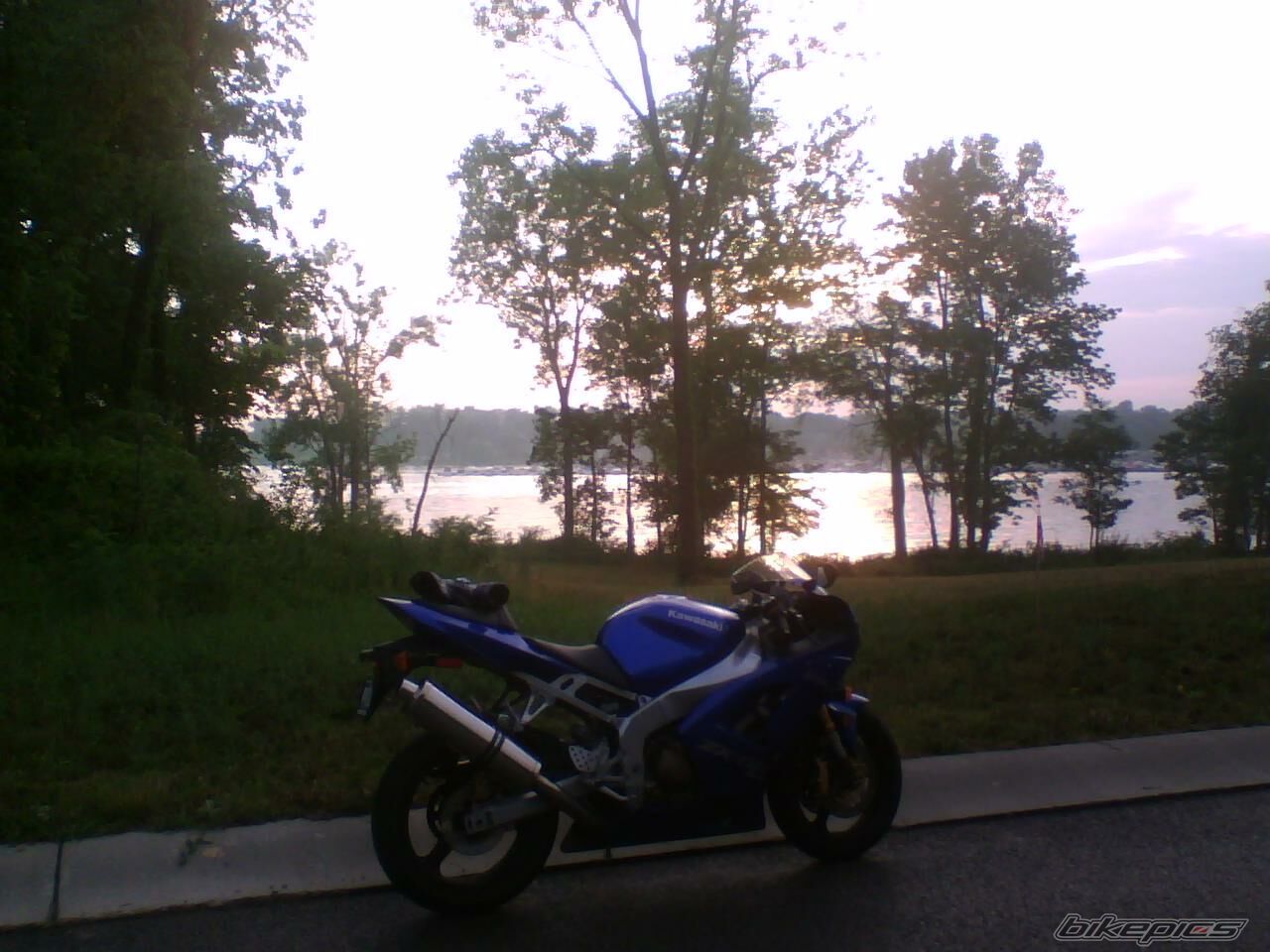 Photo 1545390