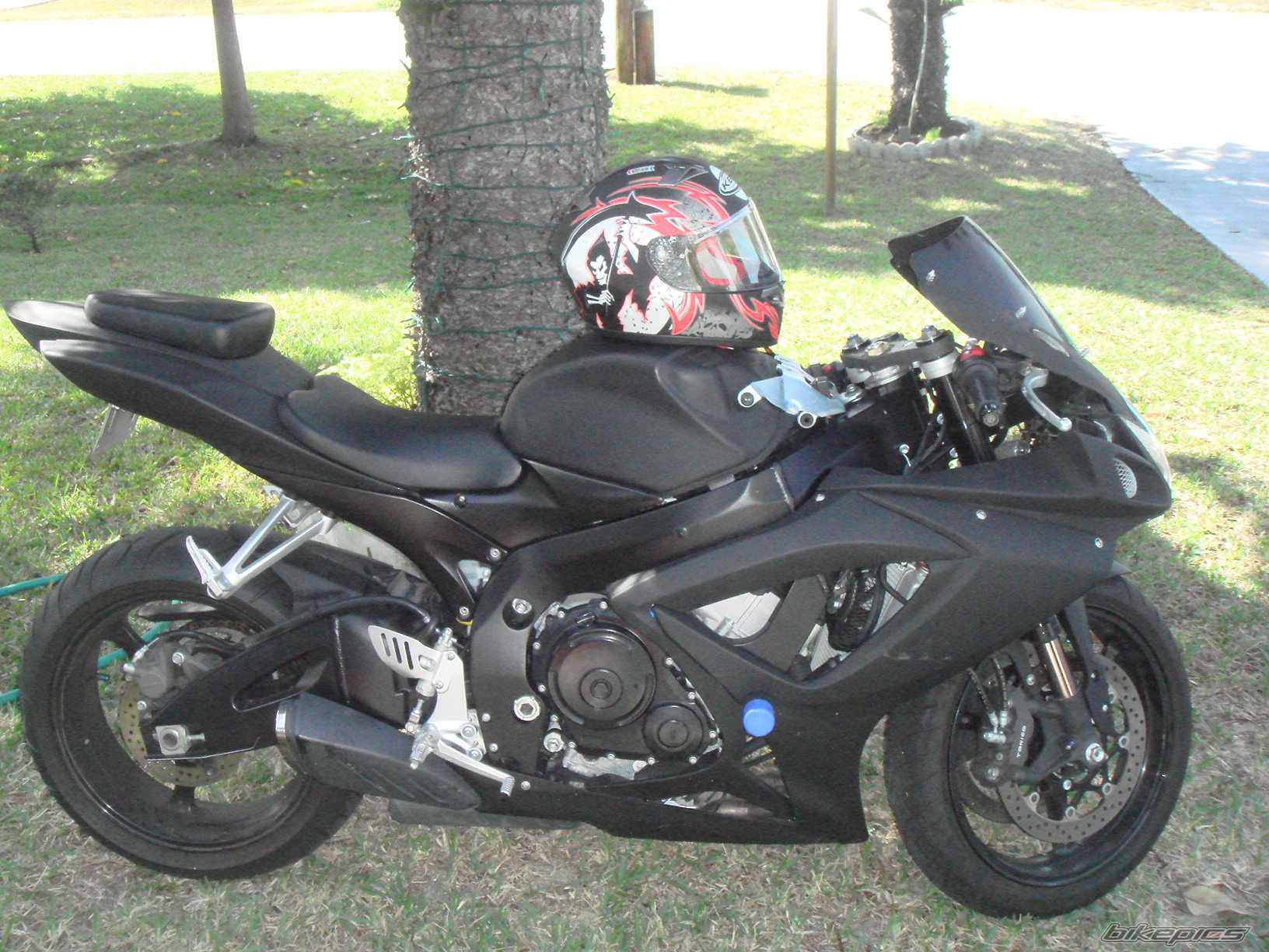 Photo 1545406
