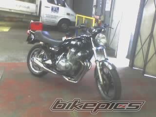 Photo 1545440