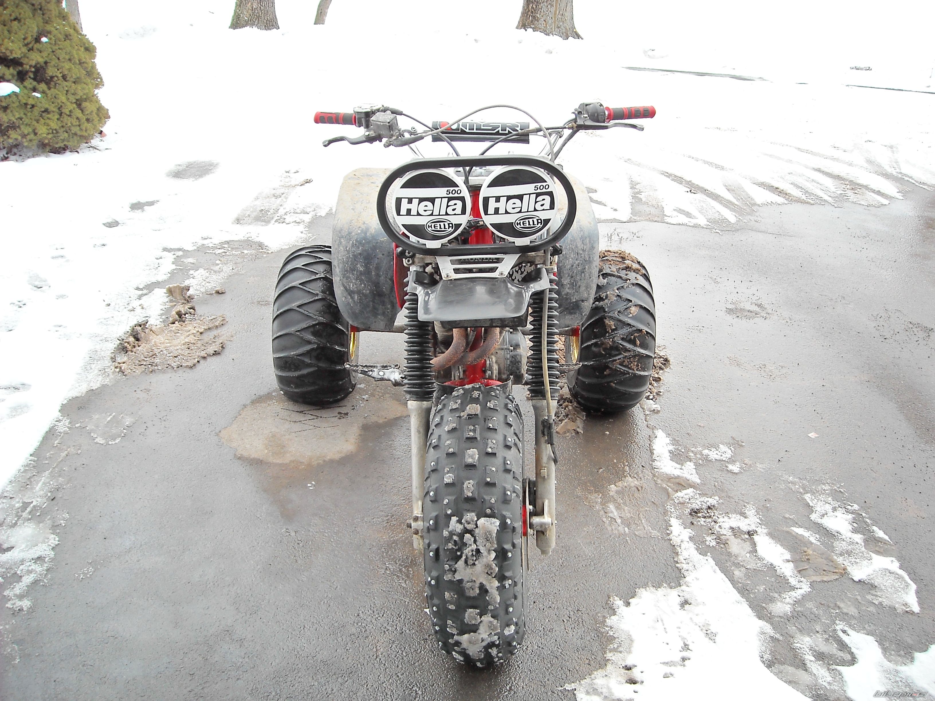 Photo 1545478