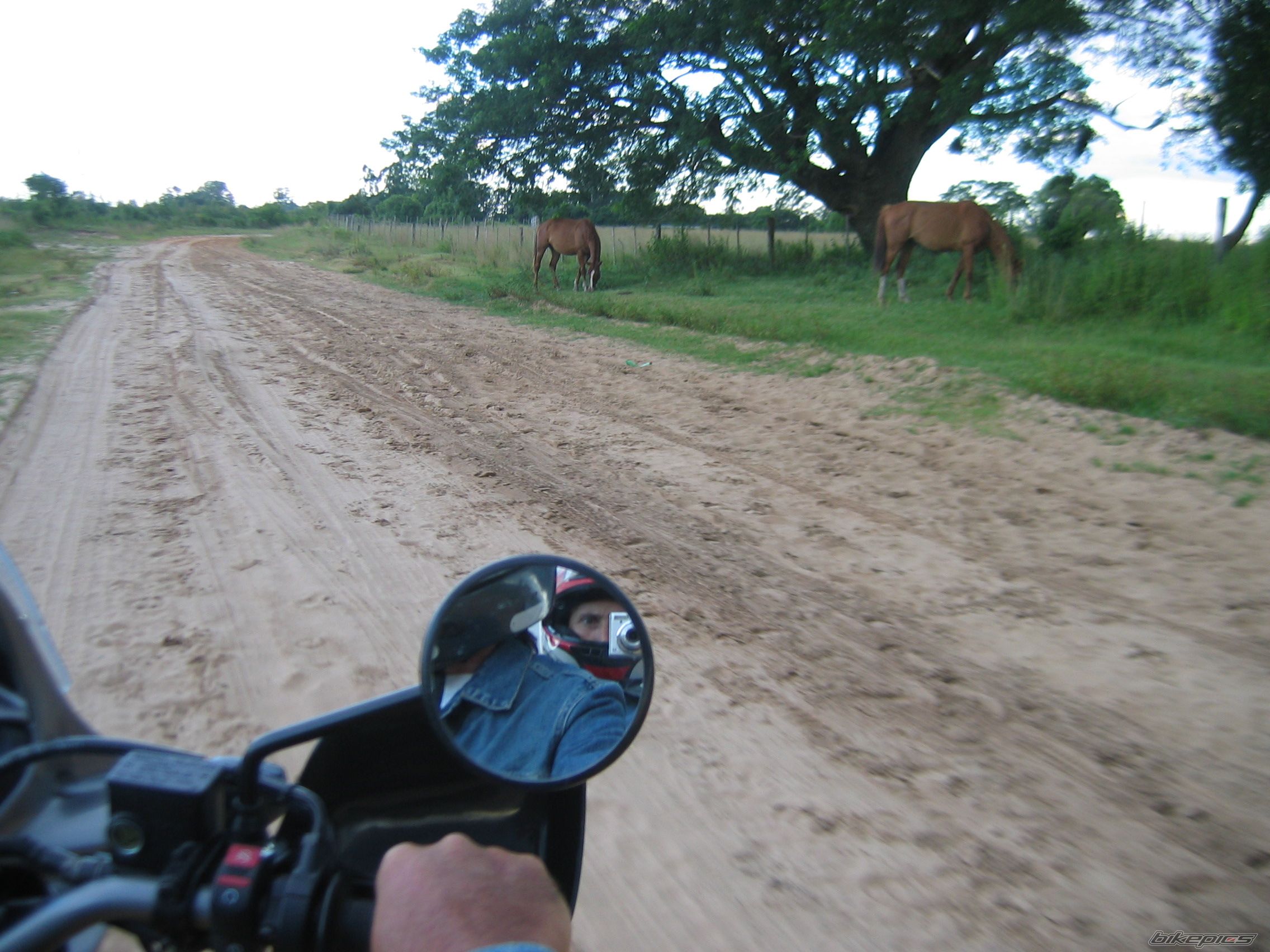 Photo 1545481