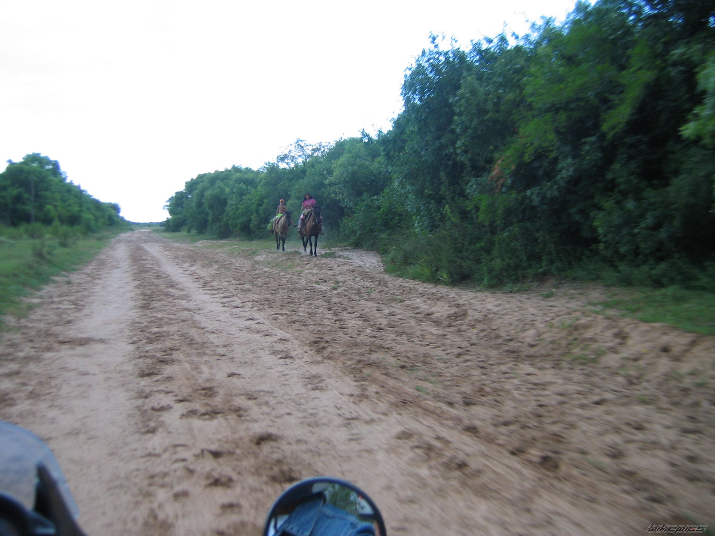 Photo 1545482