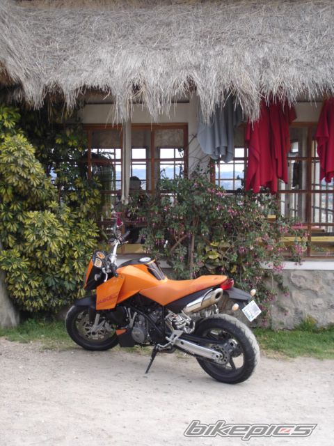 Photo 1545488