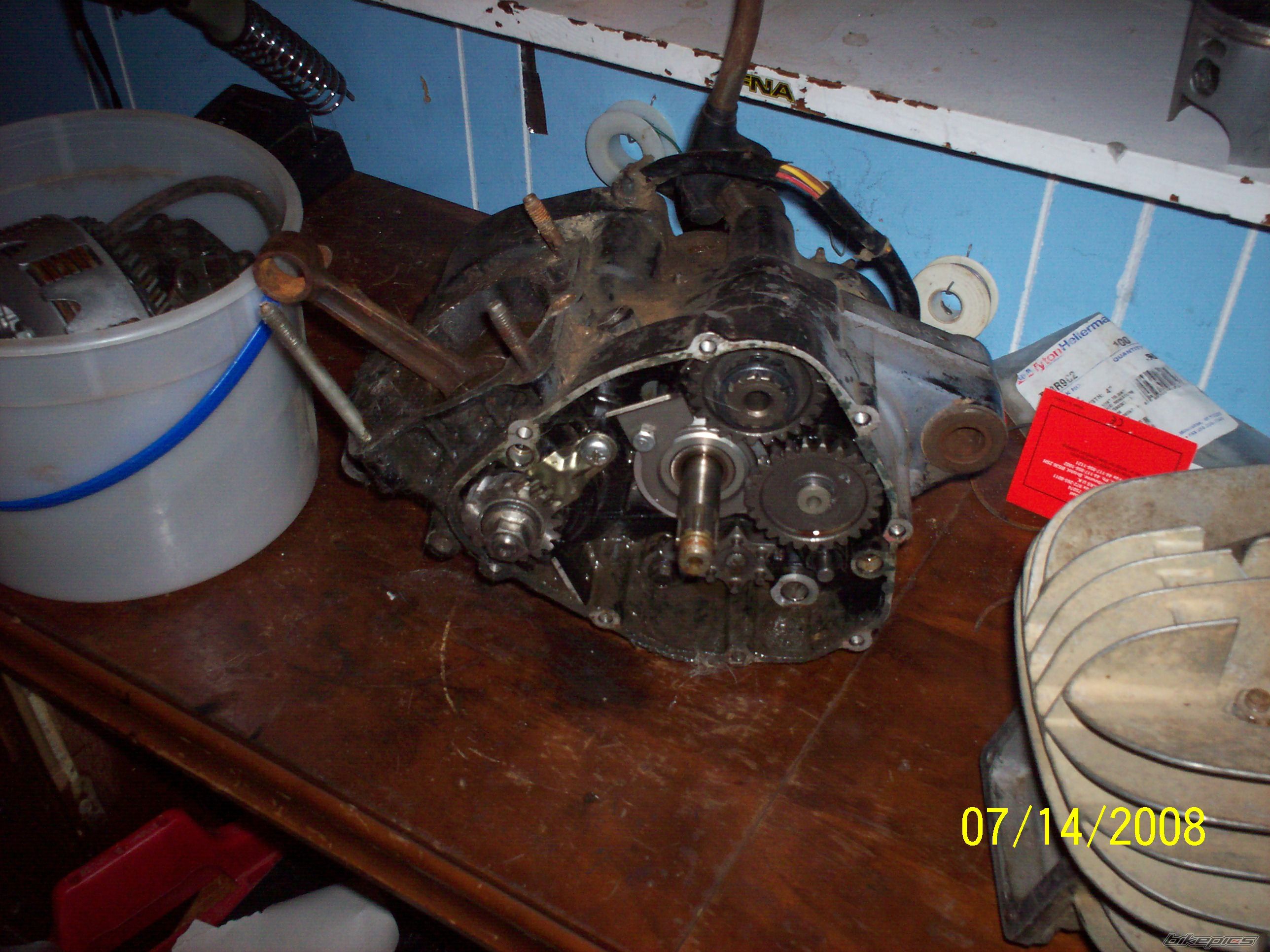 Photo 1545491