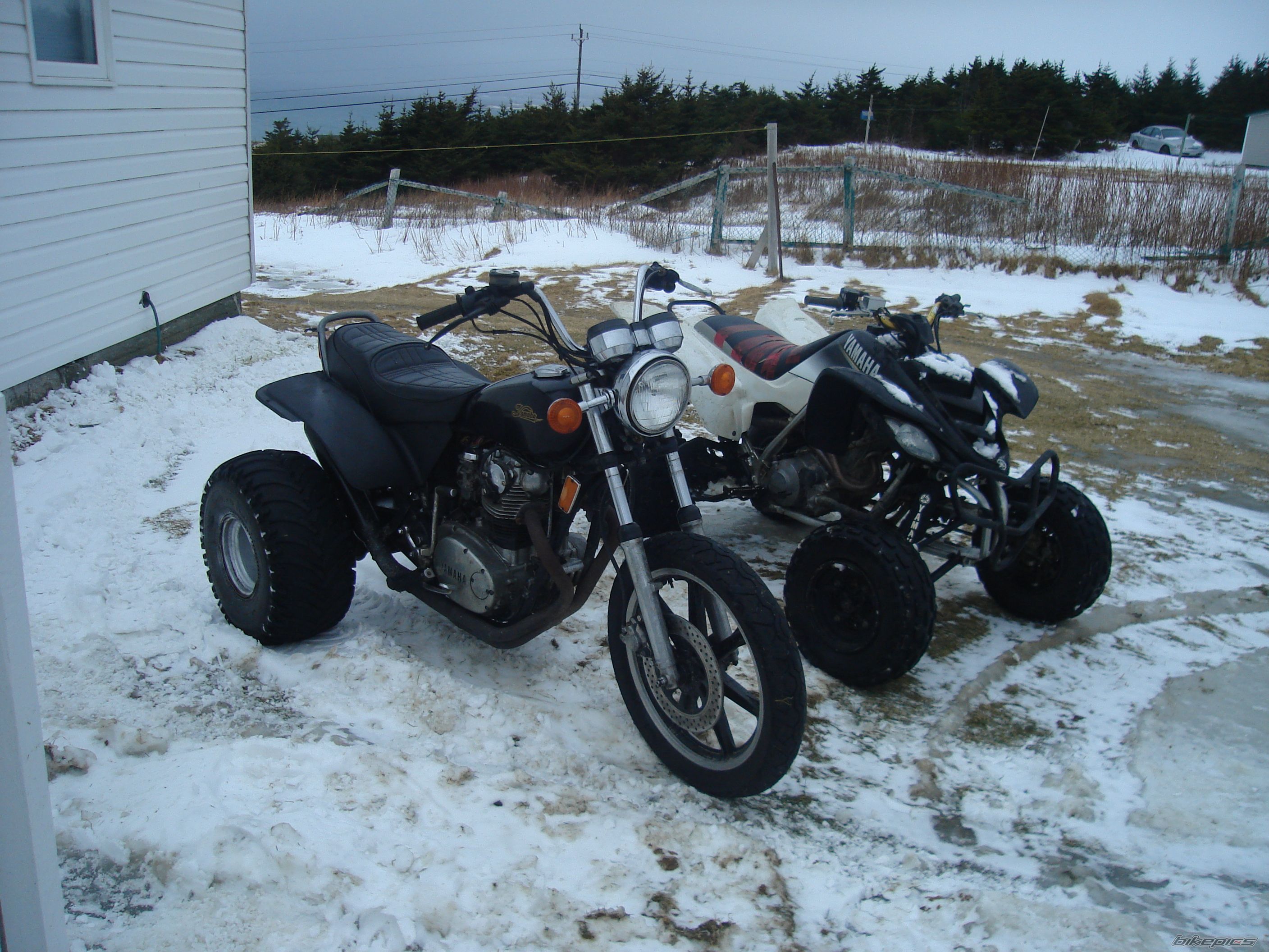 Photo 1545546