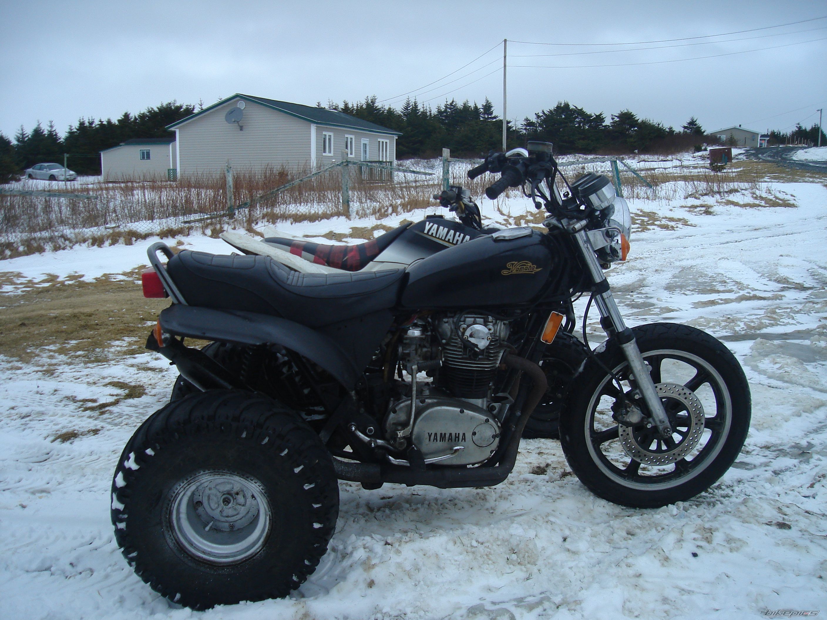 Photo 1545549