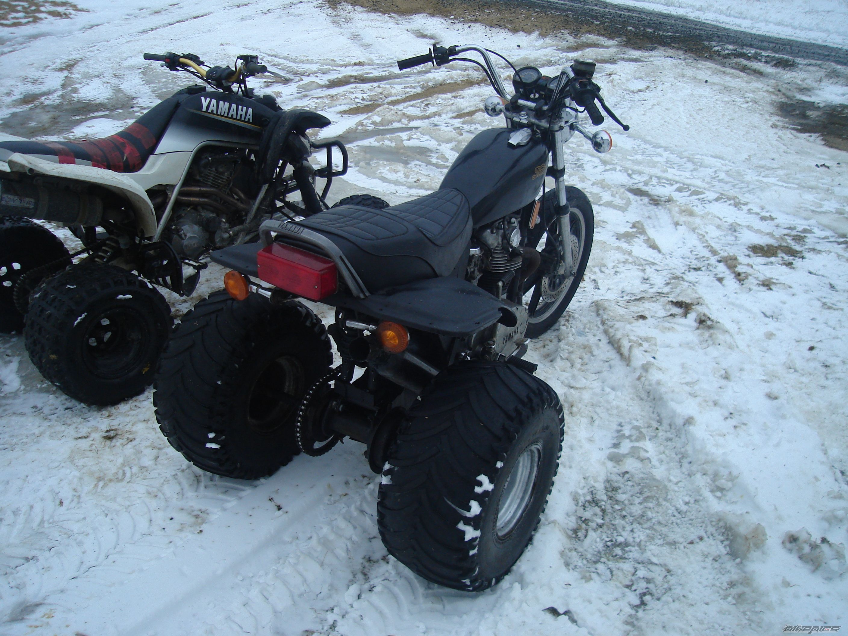 Photo 1545552