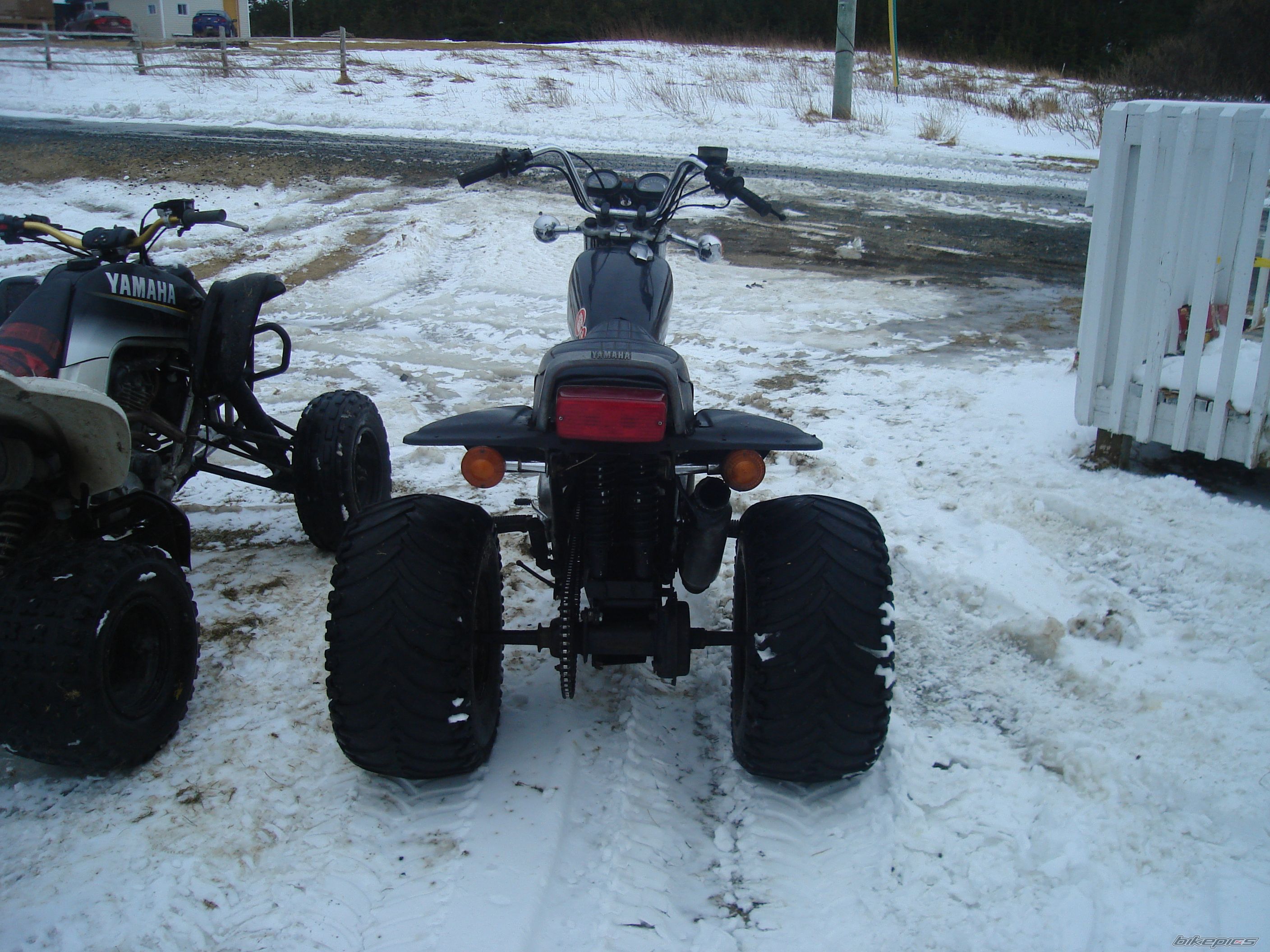 Photo 1545553