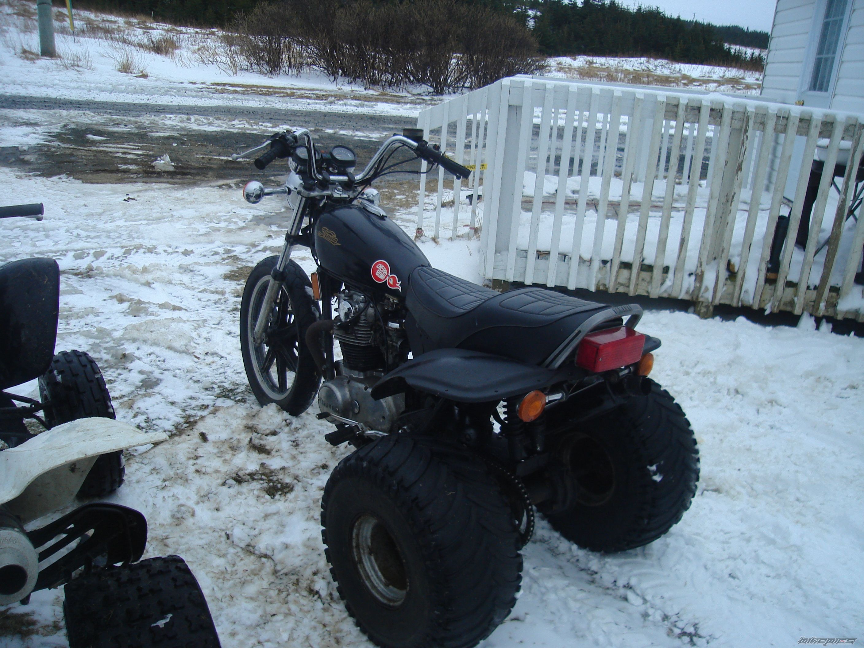 Photo 1545554