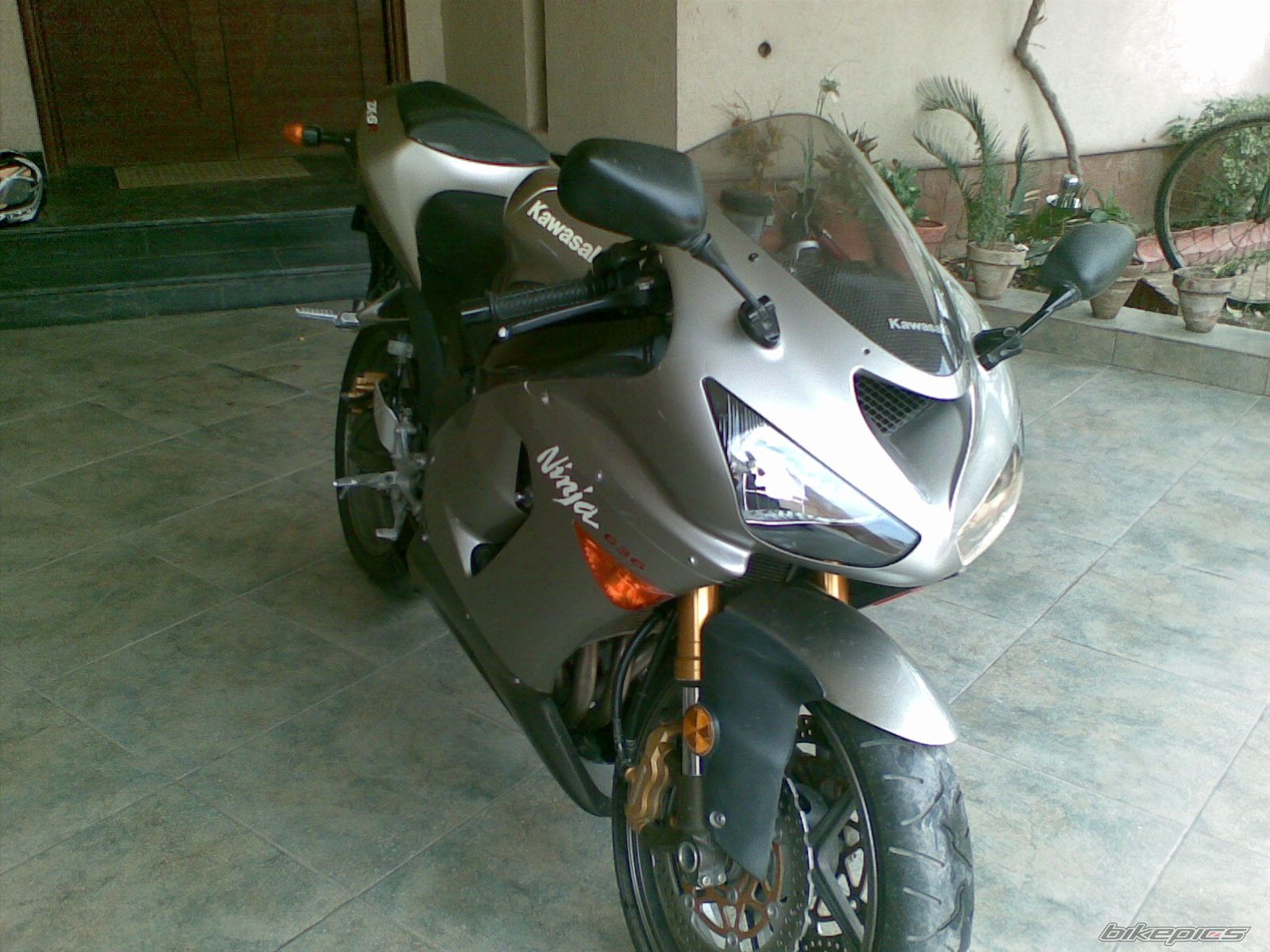 Photo 1545580