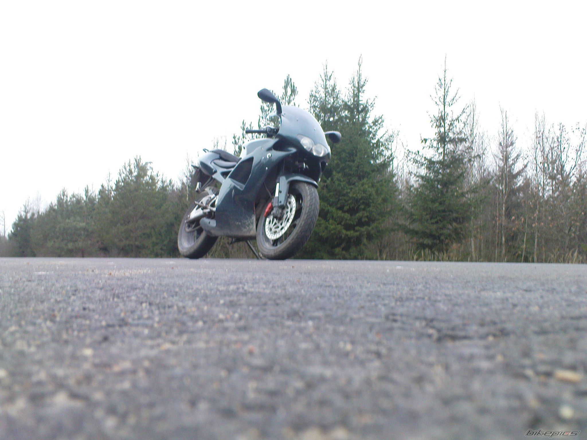 Photo 1545606