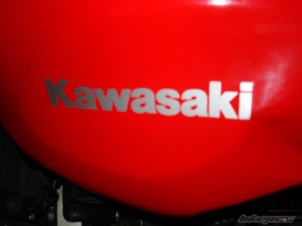 Photo 1545608