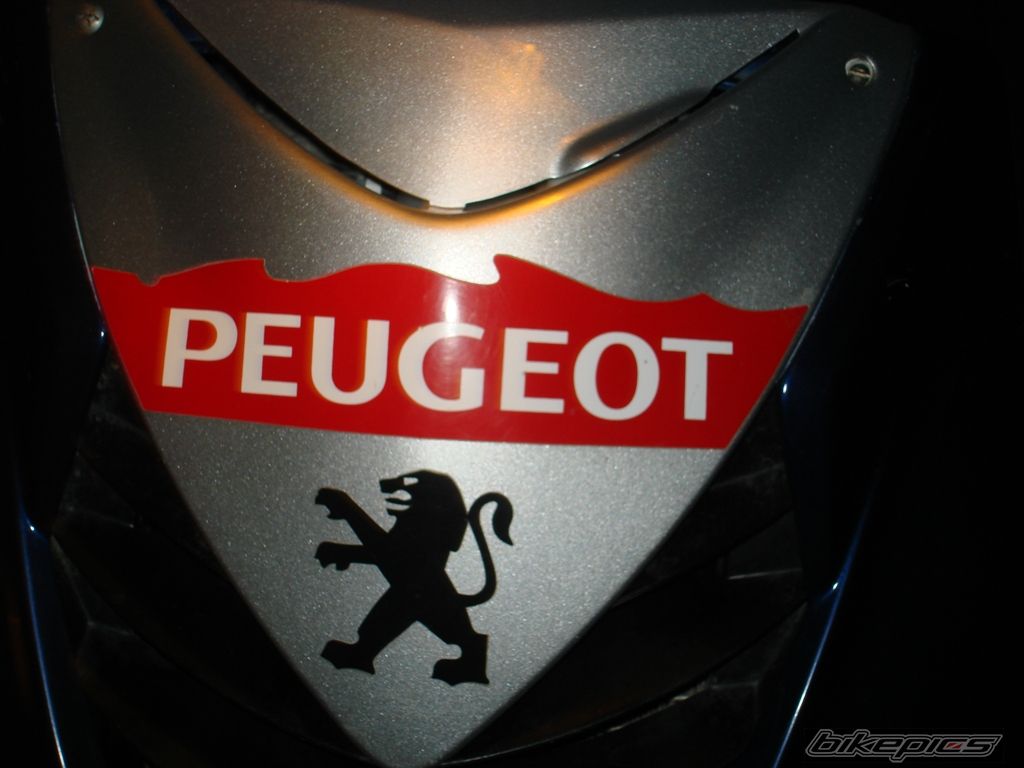 Photo 1545610