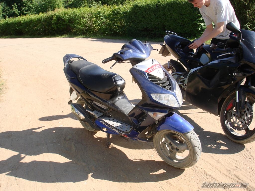 Photo 1545612