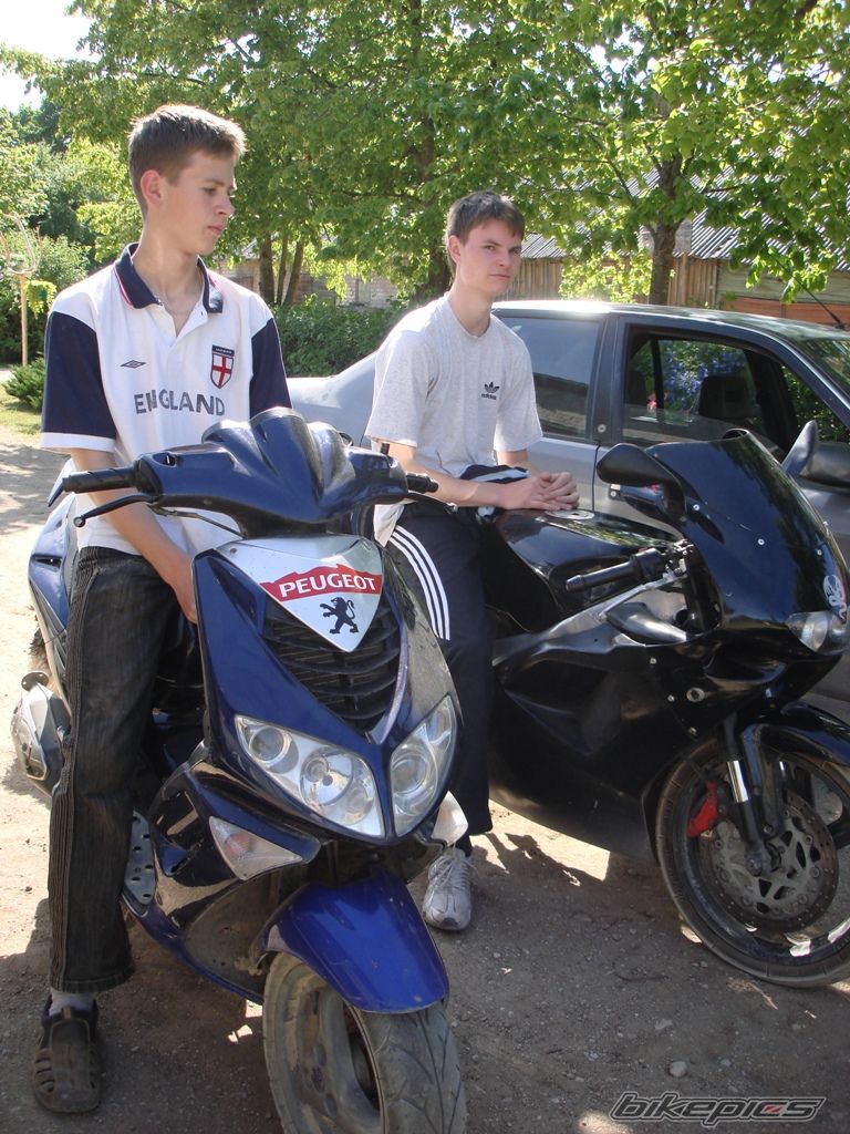 Photo 1545626