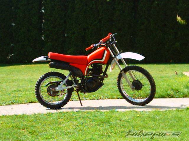 Photo 154563