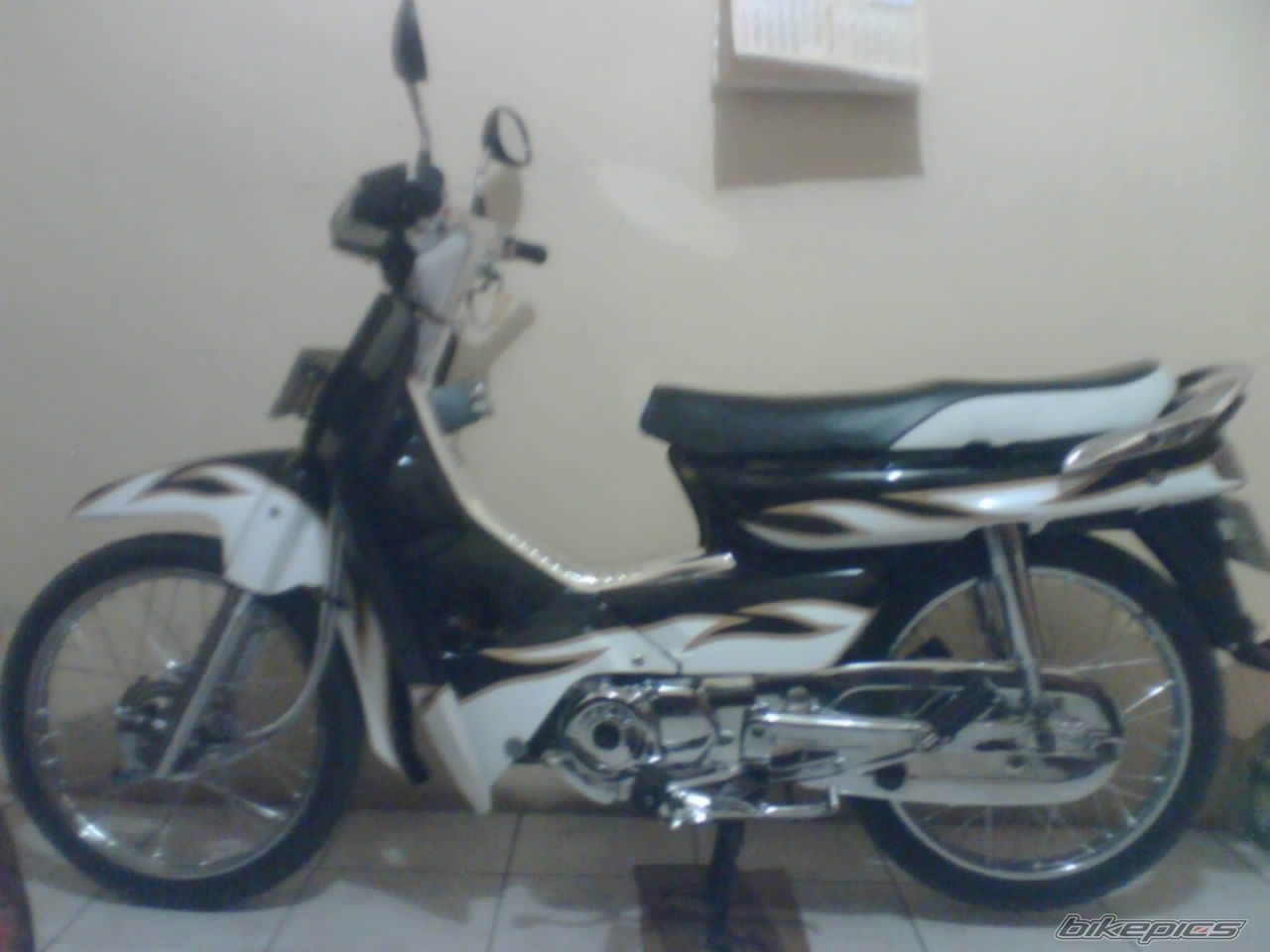 Photo 1545657