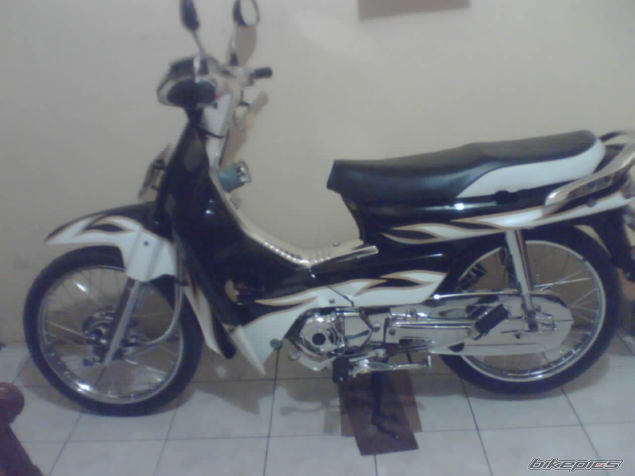 Photo 1545673