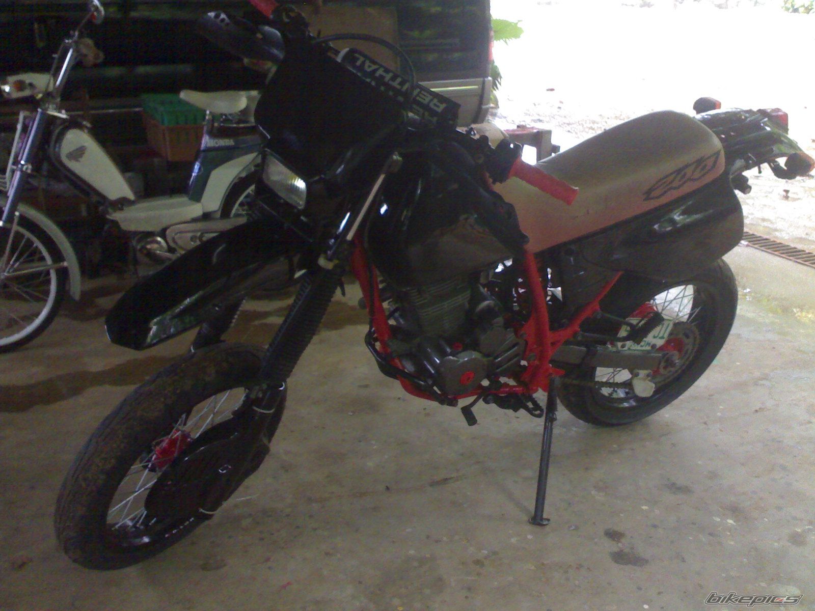 Photo 1545811