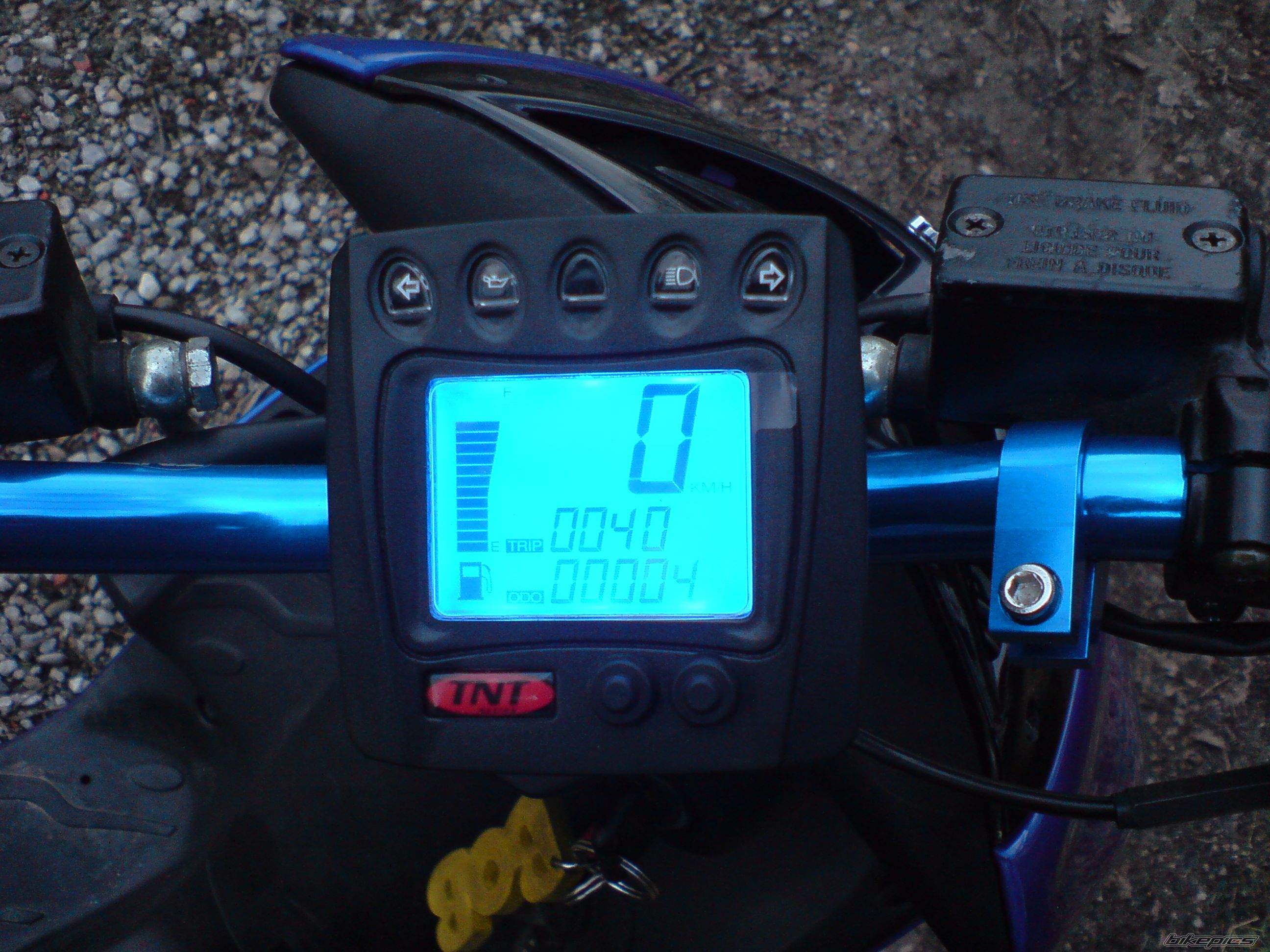 Photo 1545816