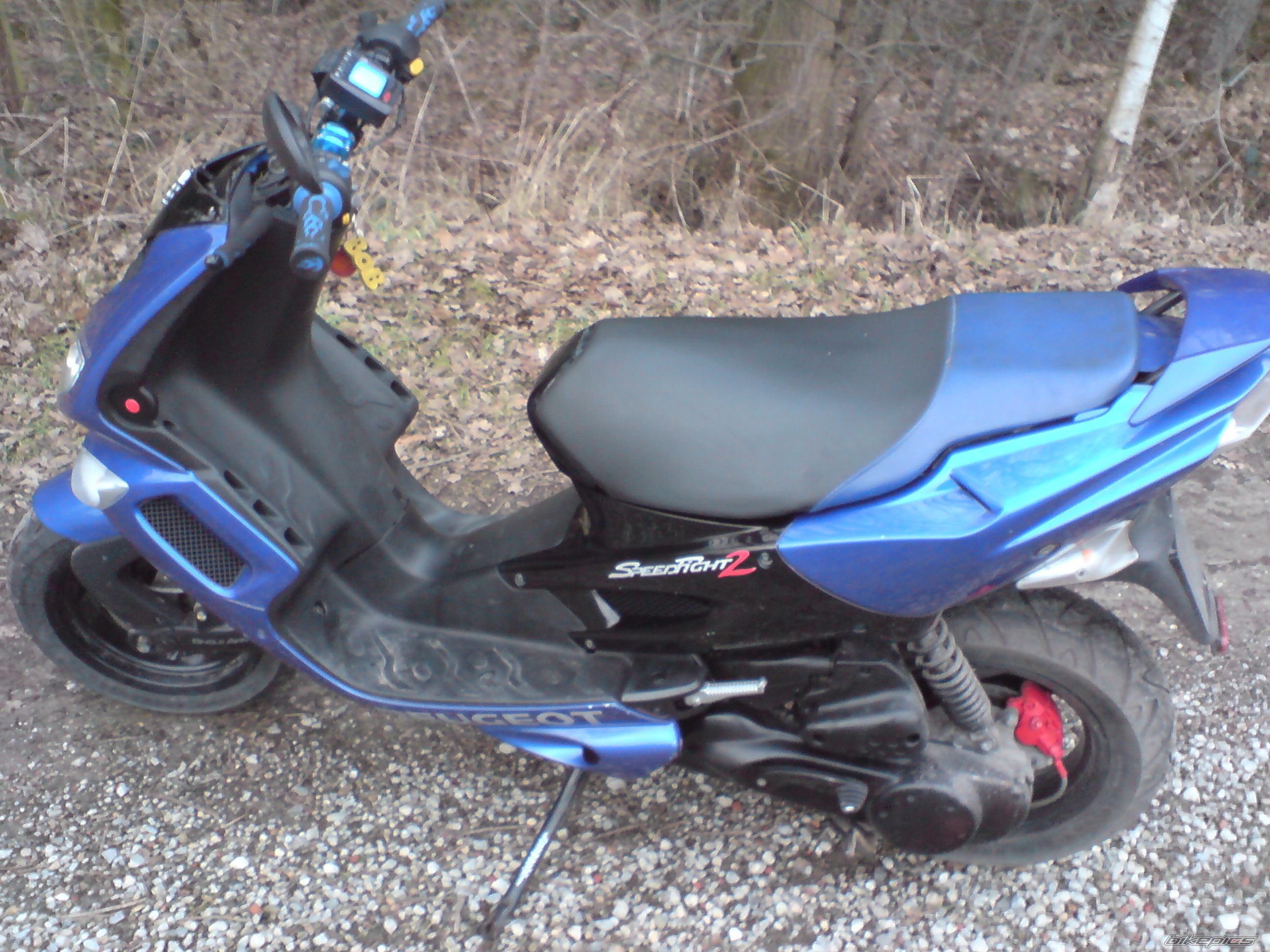 Photo 1545821