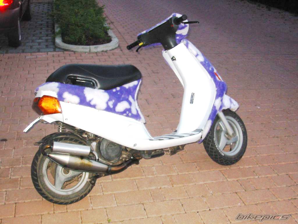 Photo 154587