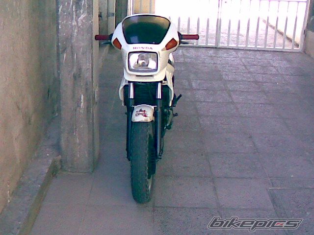 Photo 1545902