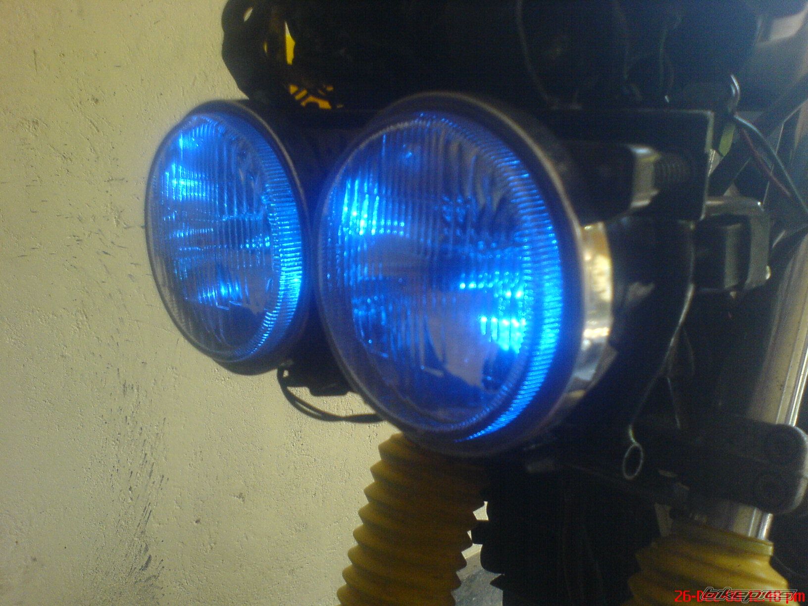 Photo 1545918