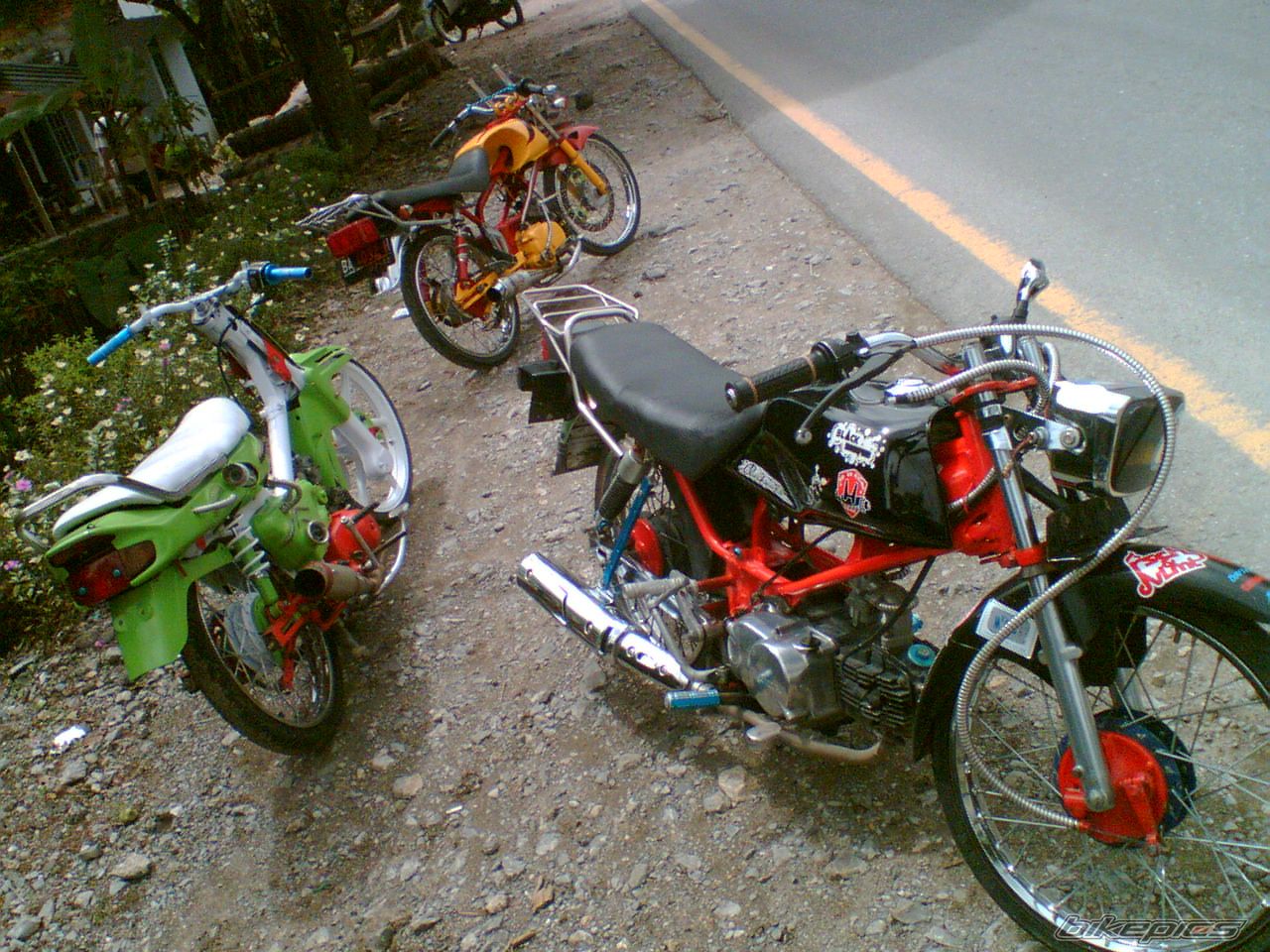 Photo 1545919