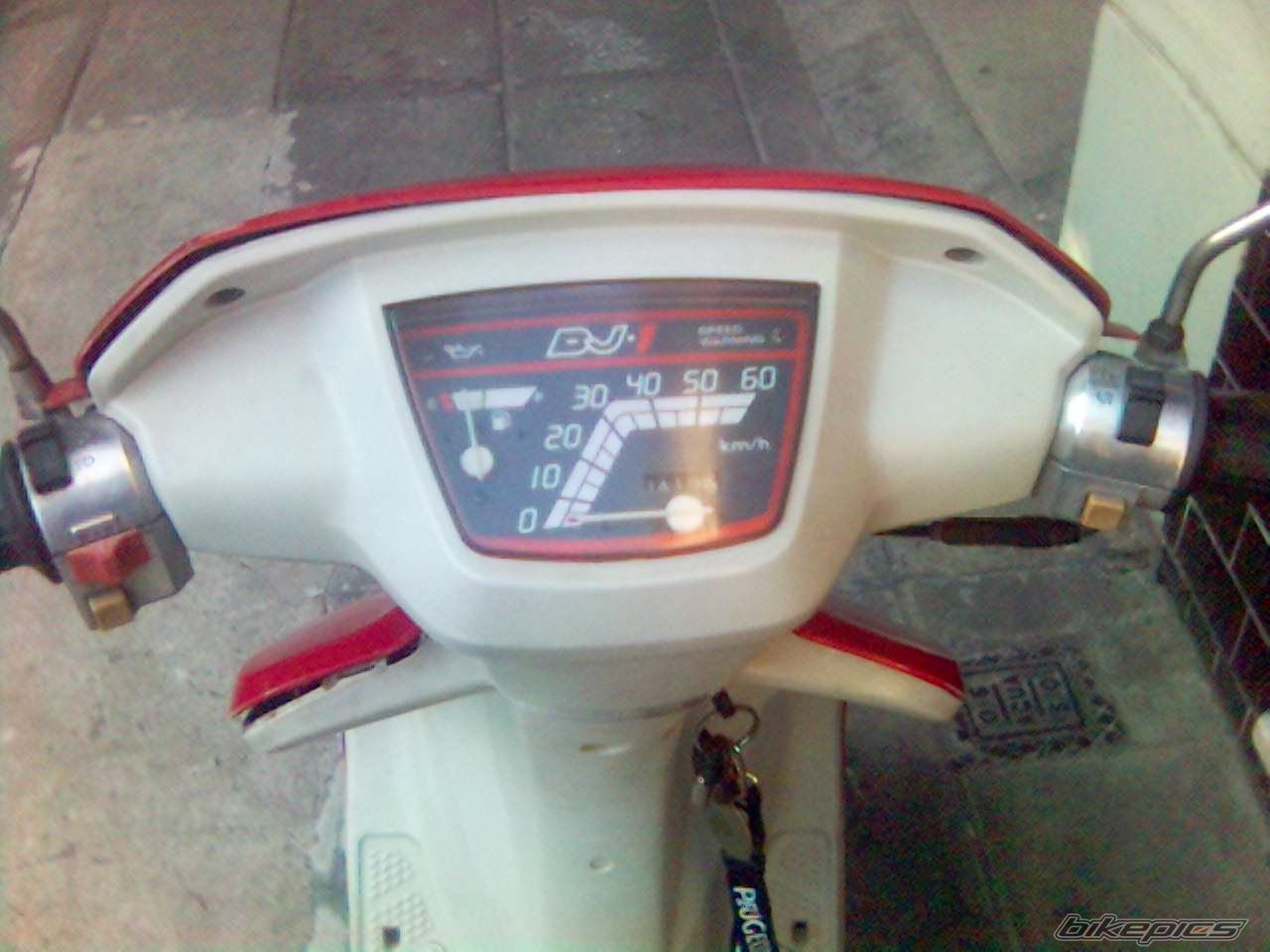 Photo 1545950