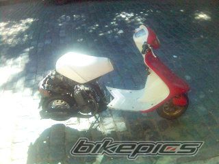 Photo 1545952