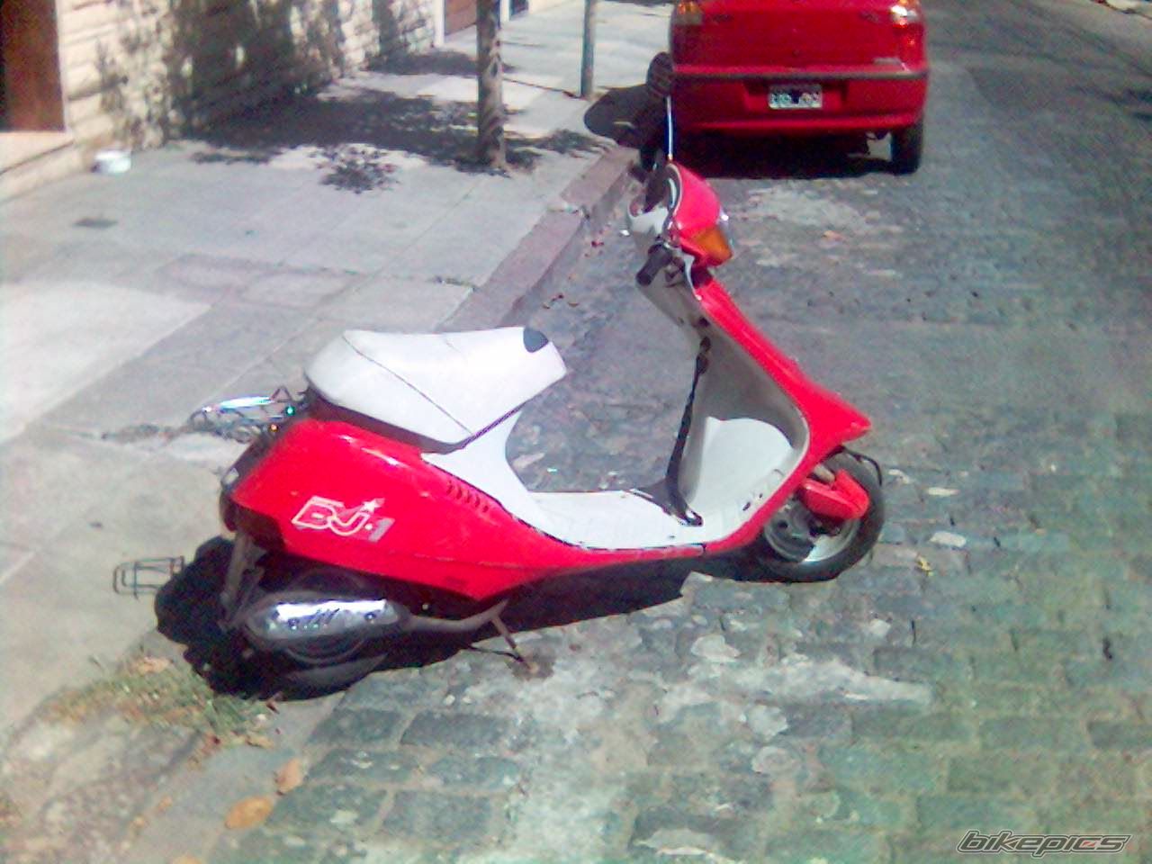 Photo 1545956