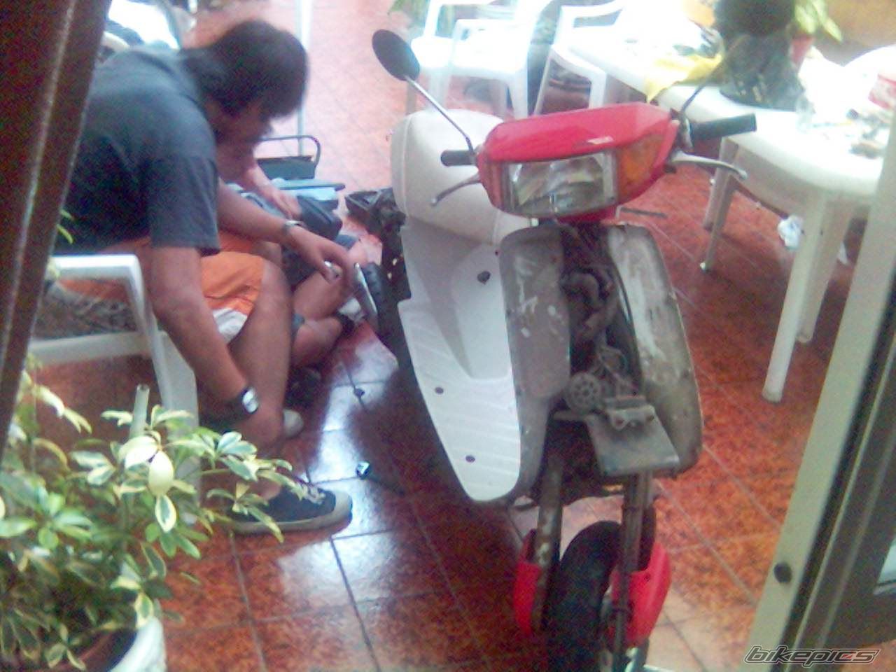 Bike Photo 1545960