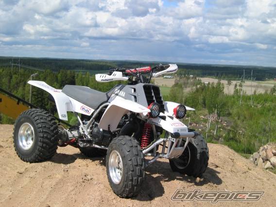 Photo 154601