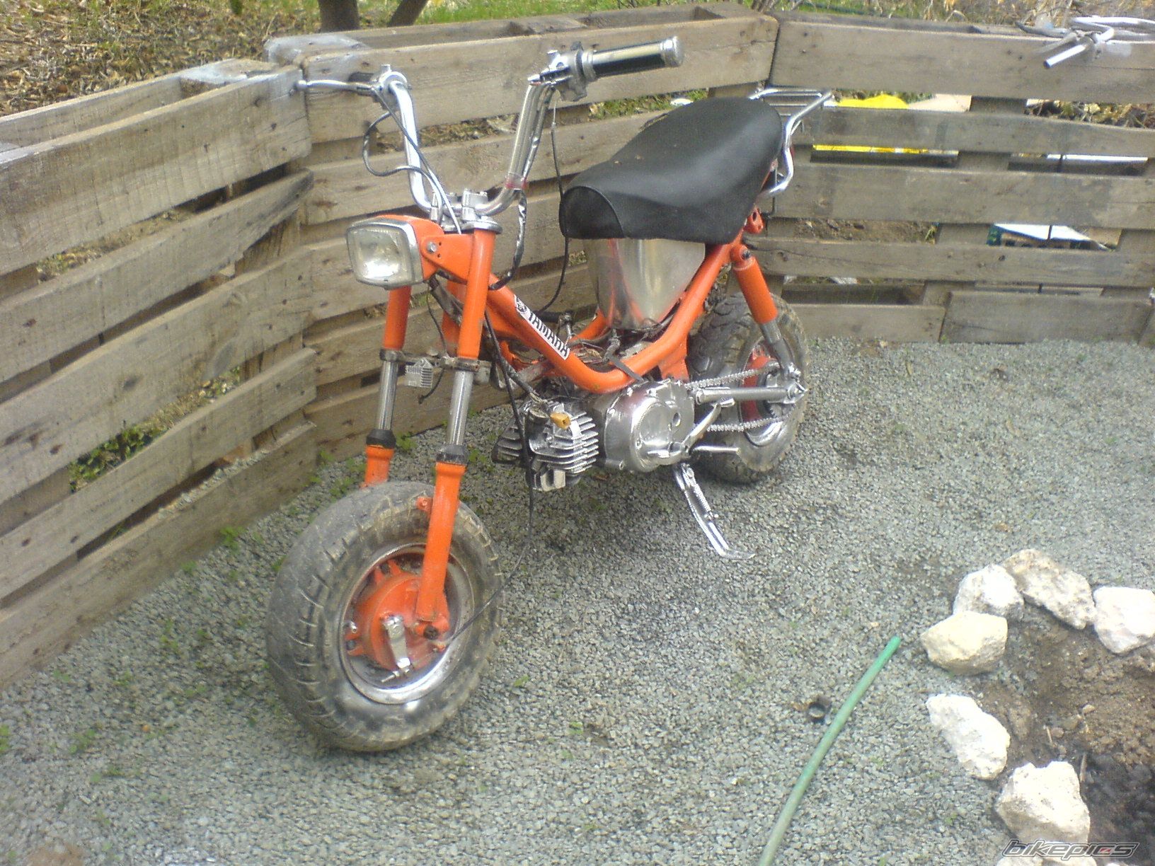 Photo 1546025