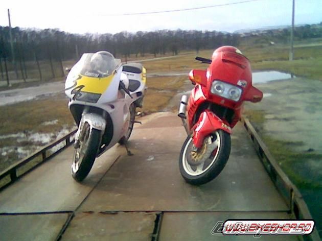Photo 1546044