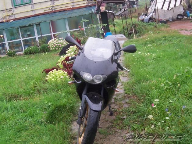Photo 1546067