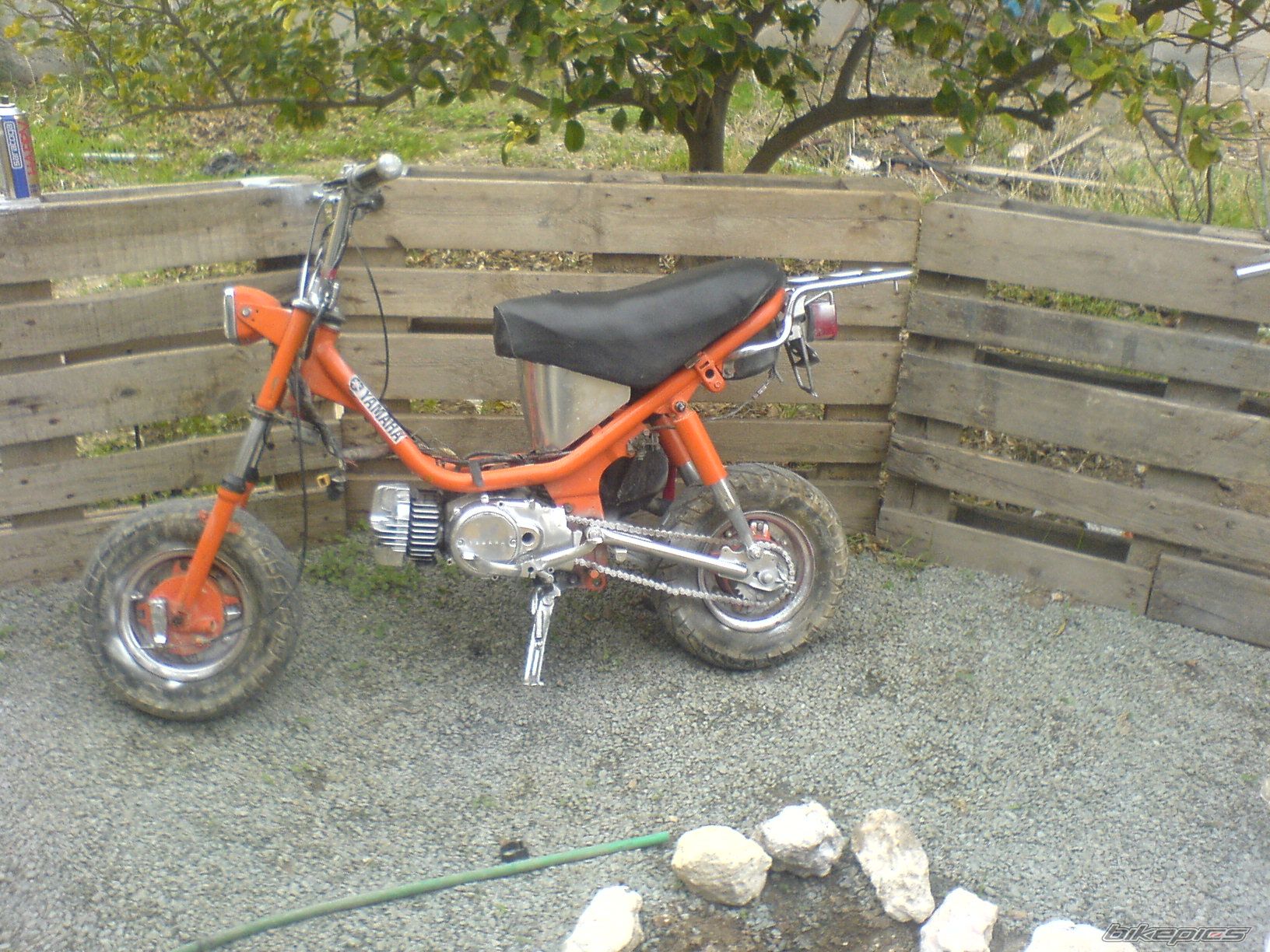 Photo 1546068