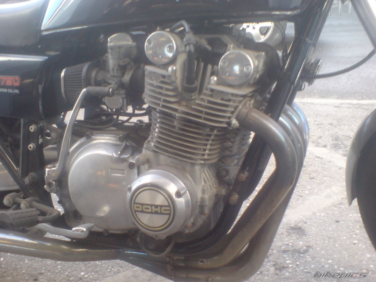Photo 1546069
