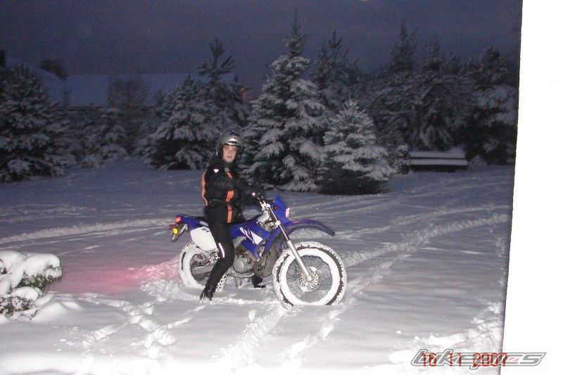 Photo 1546215