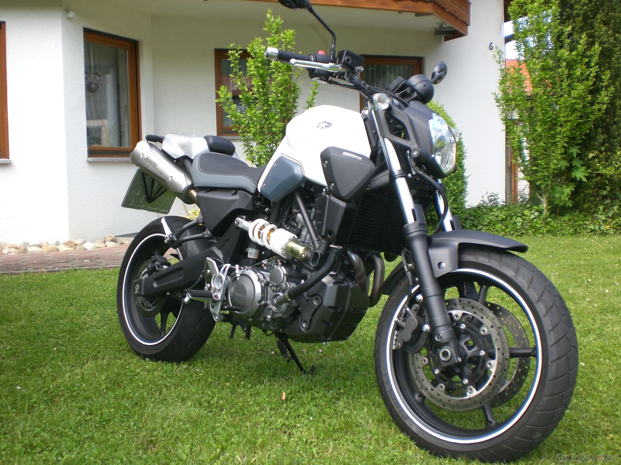 Photo 1546221