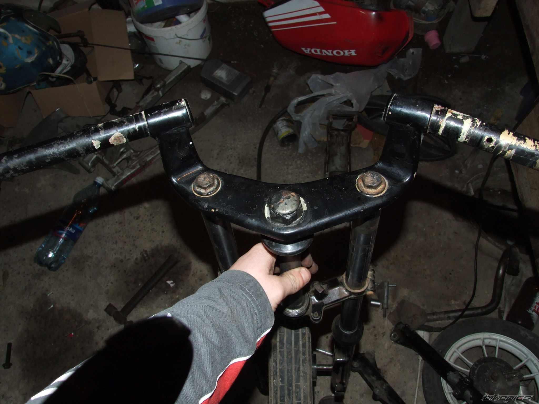 Photo 1546227
