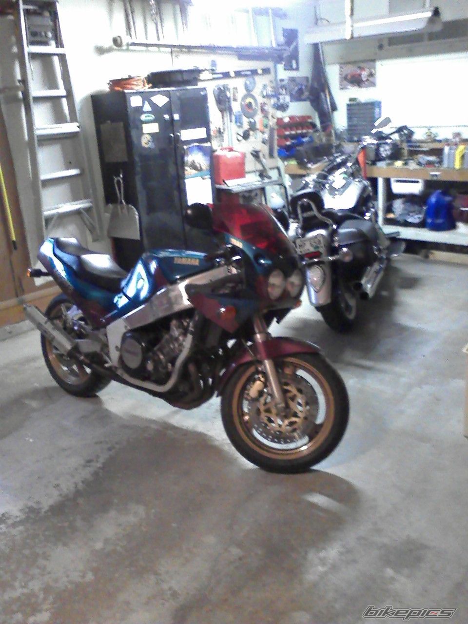 Photo 1546231