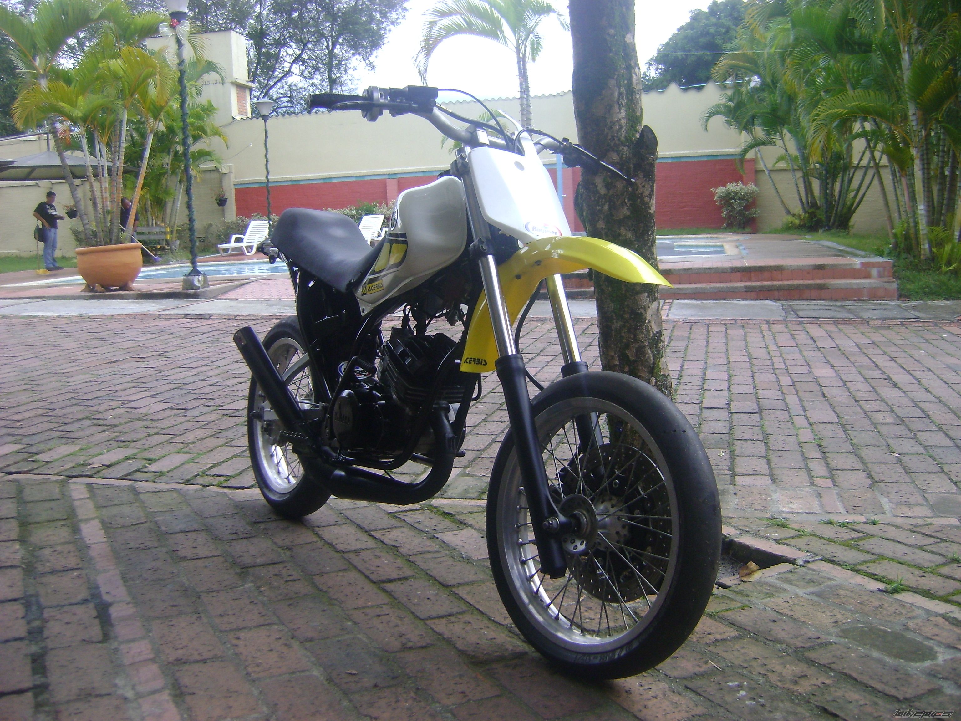 Photo 1546232